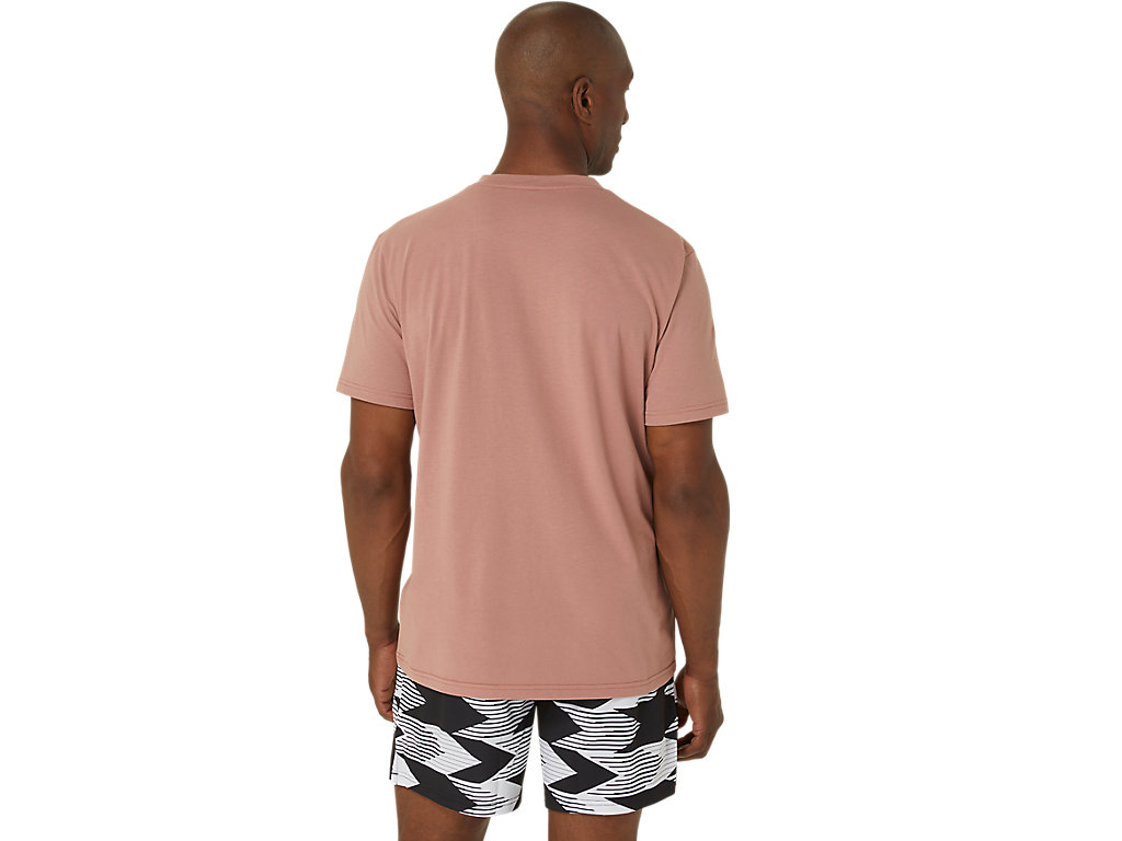 ASICS SEASONAL LOGO GRAPHIC SS TOP image number null