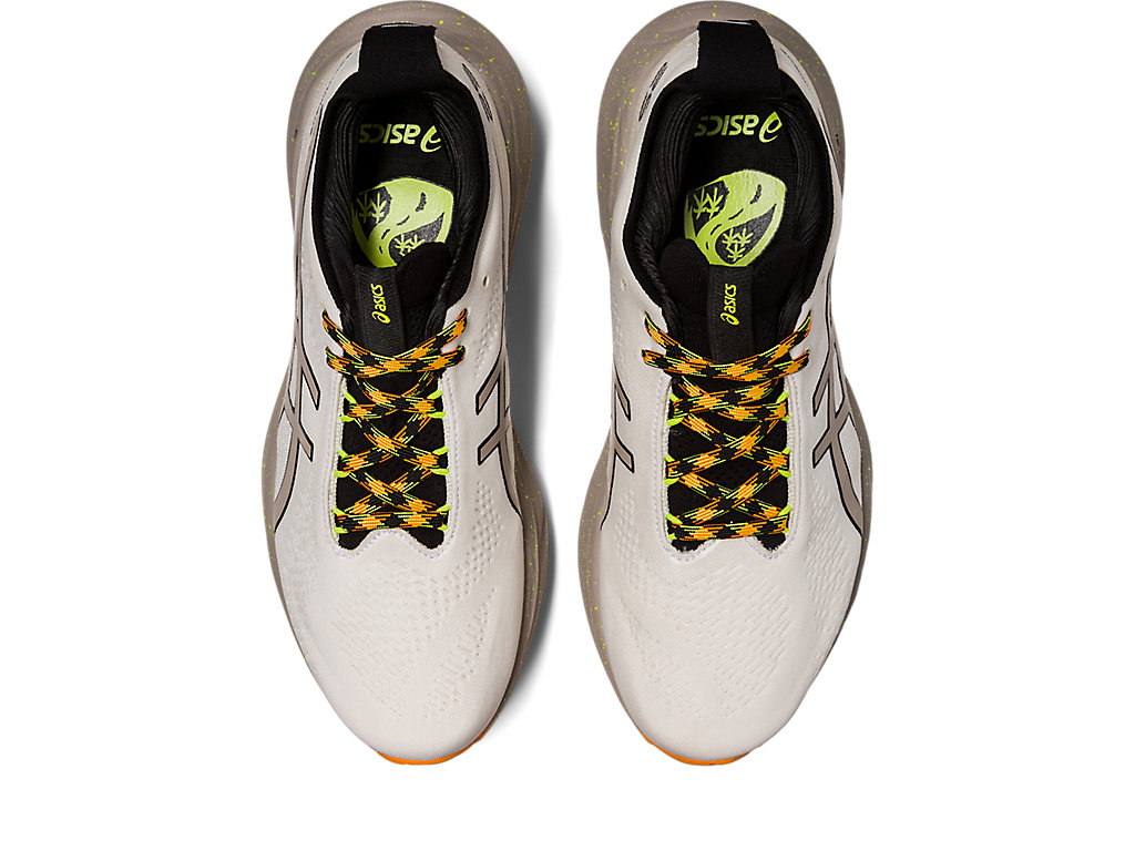 ASICS GEL-NIMBUS 25 TR image number null