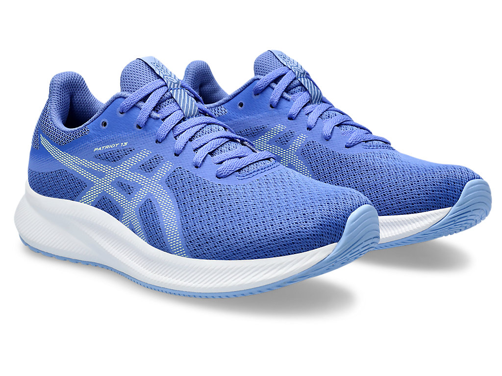 ASICS PATRIOT 13 image number null